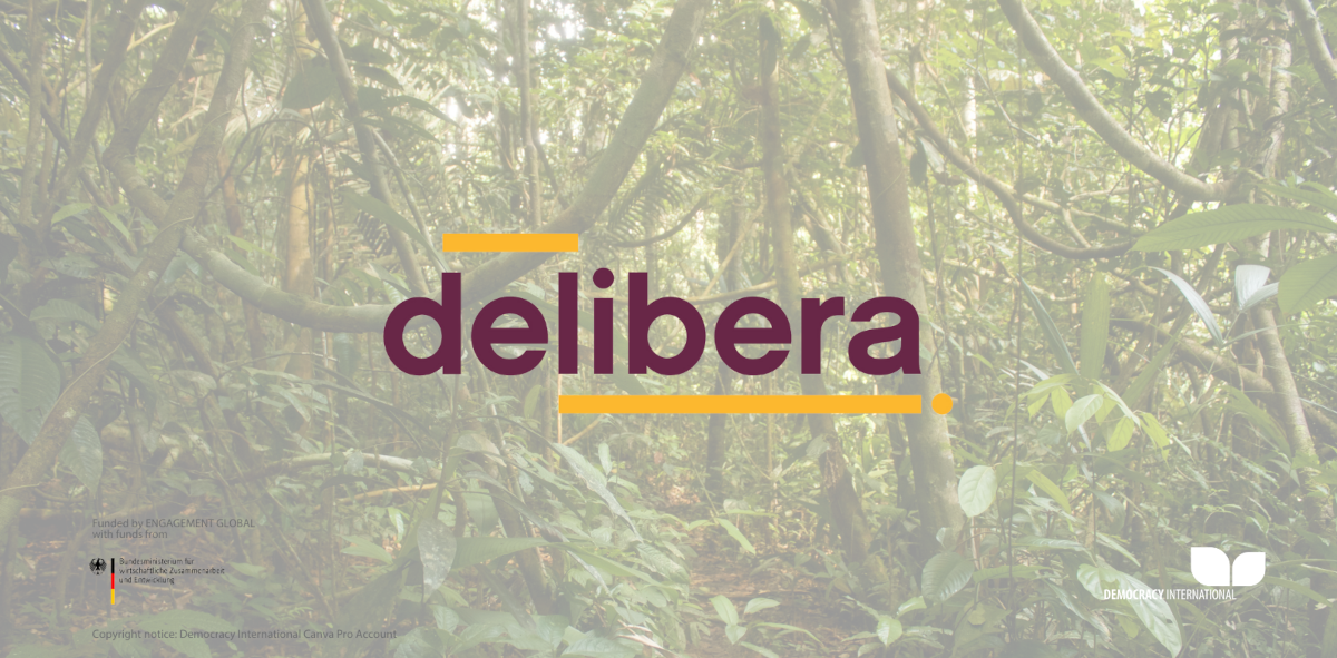 Image Banner delibera, Copyright notice Democracy International Canva Pro Account