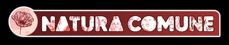 Image Logo Natura comune
