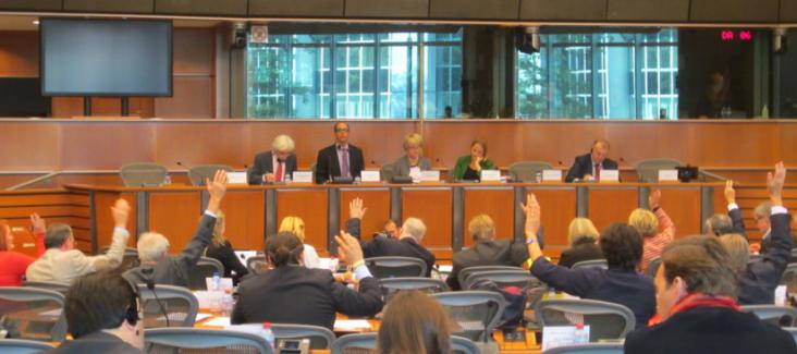 The constitutional committee voting on ECI reform proposals on 28 September 2015