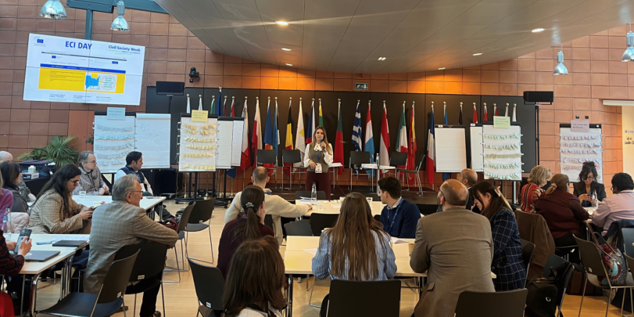 Photo by Democracy International, Daniela Vancic speaking in a workshop during ECI Day