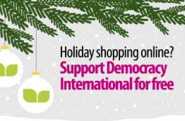 Donate to Democracy International for free